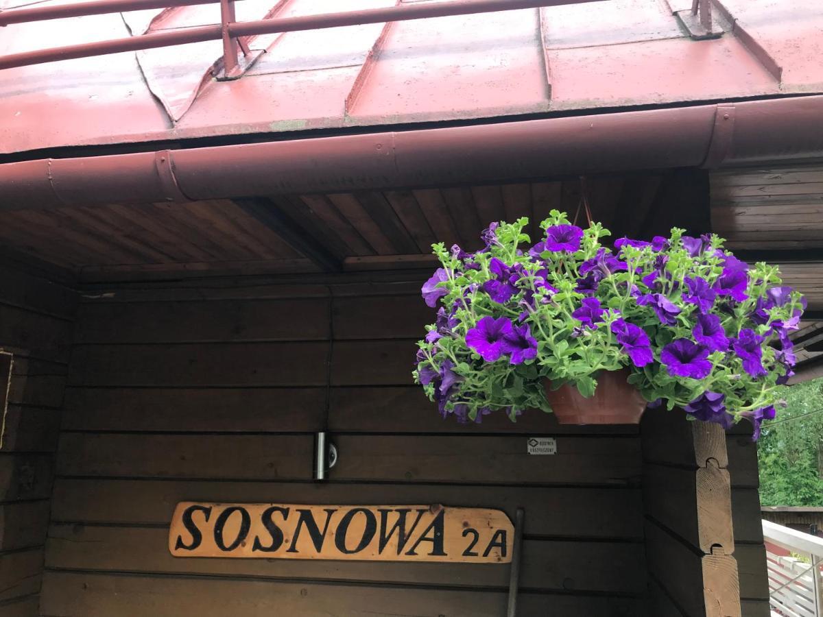 Sosnowy Zakatek Villa Wisła Eksteriør billede